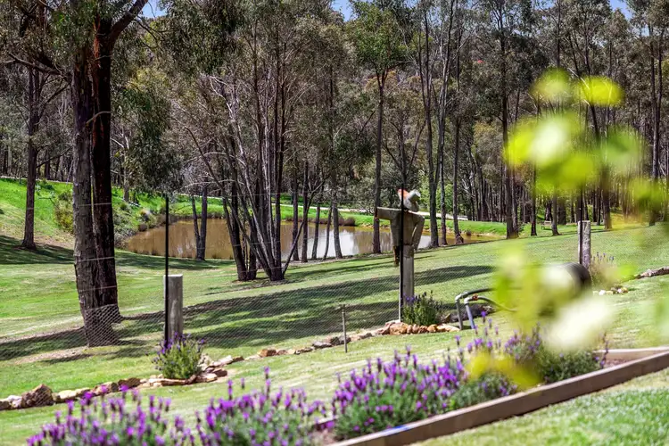 Fifth view of Homely house listing, 60 Pine Court, Porcupine Ridge VIC 3461