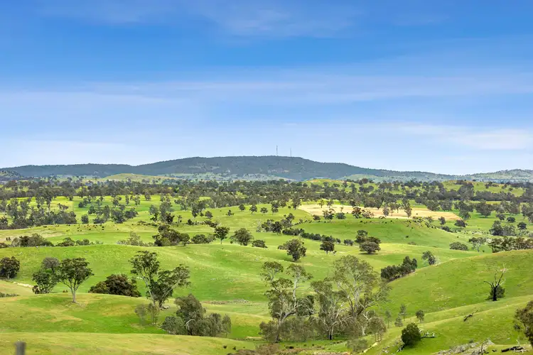 Main view of Homely land listing, 161 Racecourse Road, Redesdale VIC 3444