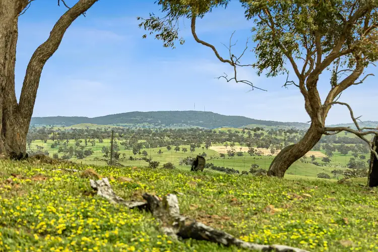Second view of Homely land listing, 161 Racecourse Road, Redesdale VIC 3444