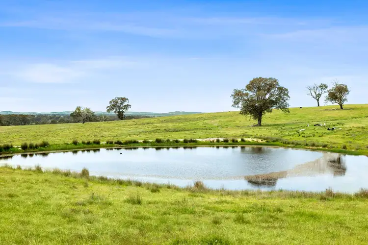 Fifth view of Homely land listing, 161 Racecourse Road, Redesdale VIC 3444