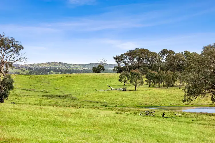 Sixth view of Homely land listing, 161 Racecourse Road, Redesdale VIC 3444