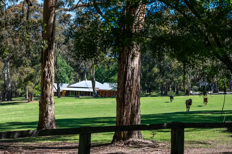 53 Ringwood Lane, Exeter NSW 2579