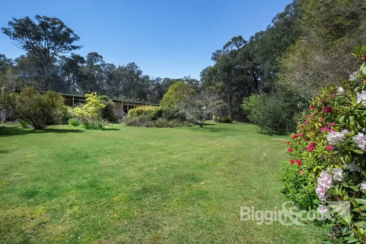 105 Wallaby Road, Wheatsheaf VIC 3461