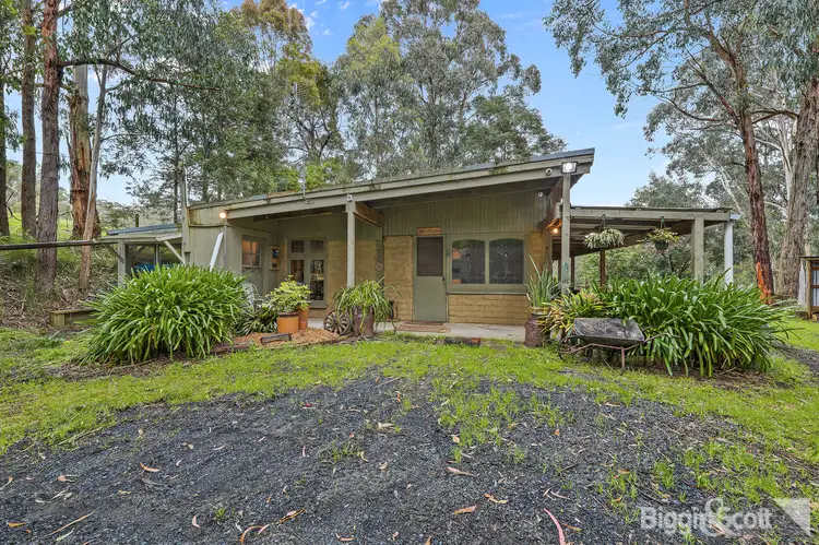 41 Mill Road, Crossover VIC 3821