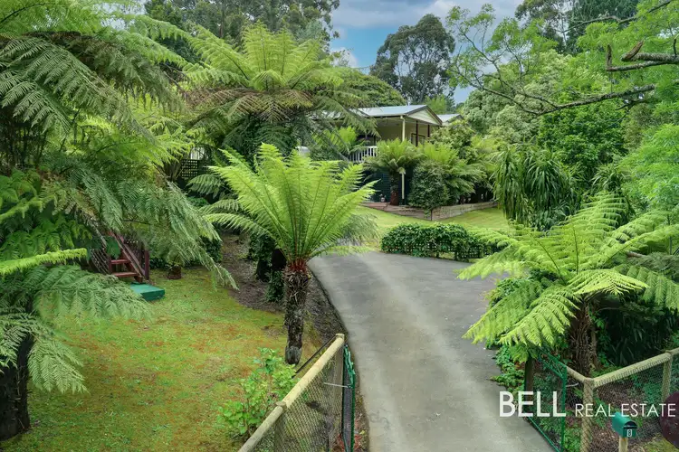 Second view of Homely house listing, 8 Poplar Crescent, Emerald VIC 3782