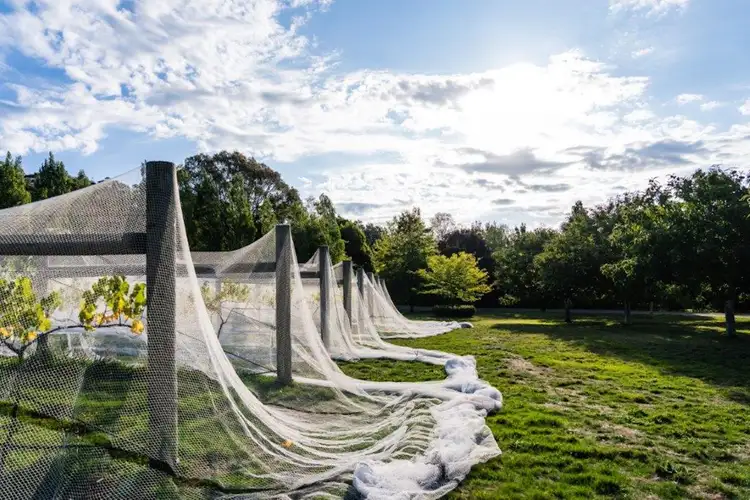 Sixth view of Homely rural property listing, 1294 Romsey Road, Romsey VIC 3434