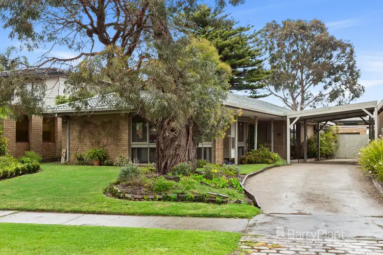 24 Rhoda Street, Dingley Village VIC 3172