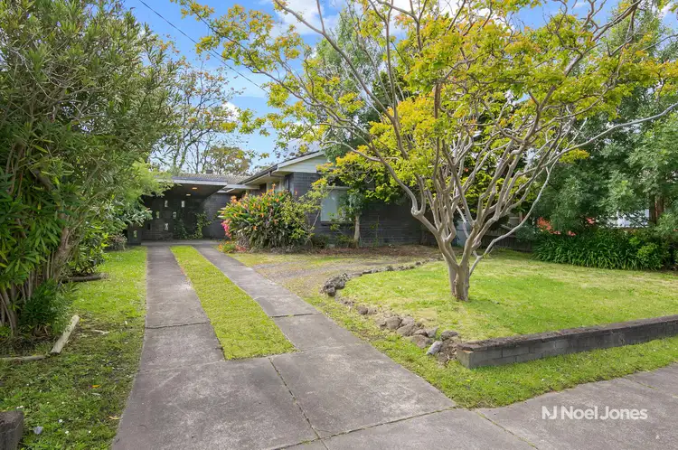 113 Mahoneys Road, Forest Hill VIC 3131