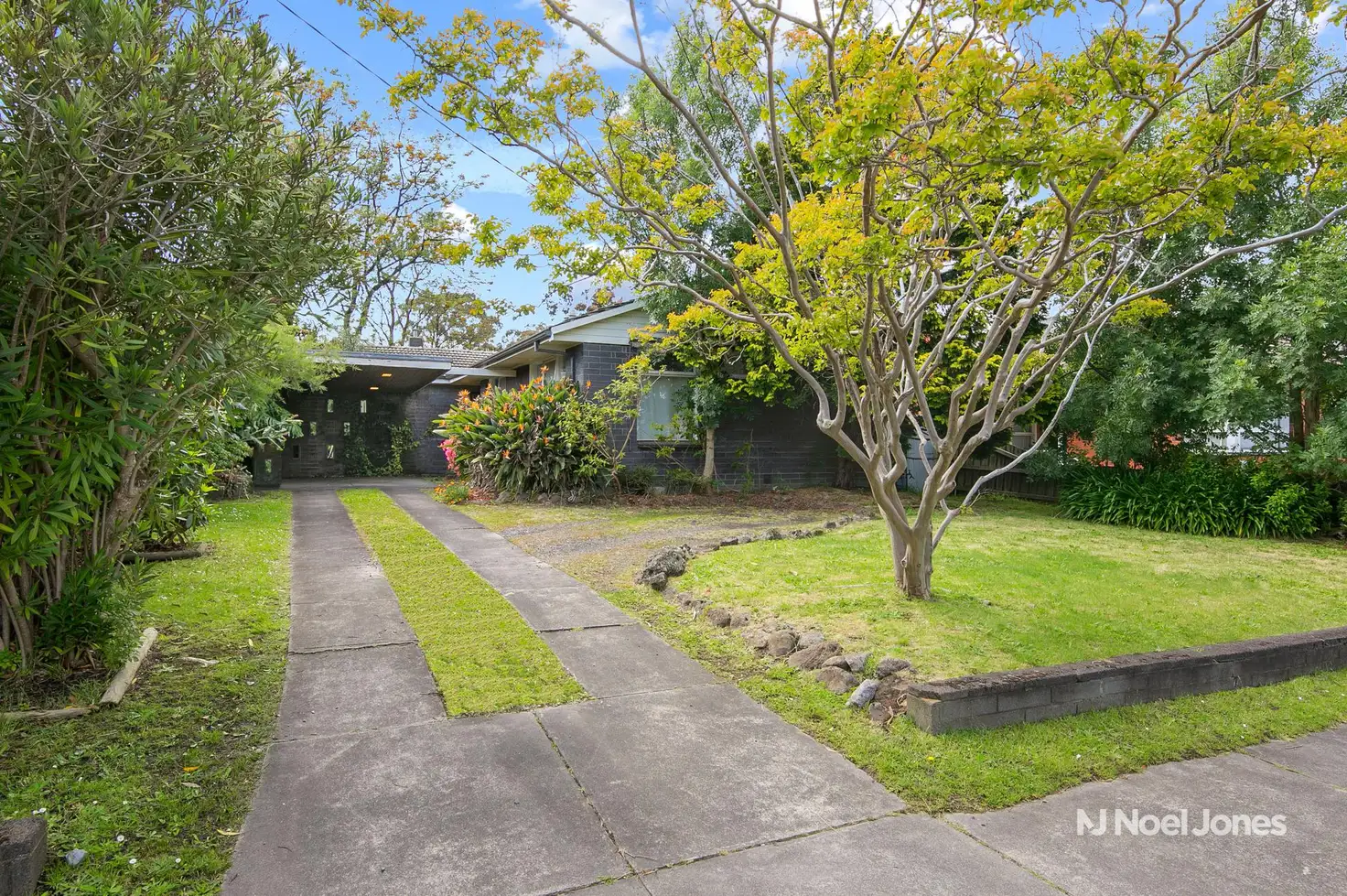 Main view of Homely house listing, 113 Mahoneys Road, Forest Hill VIC 3131