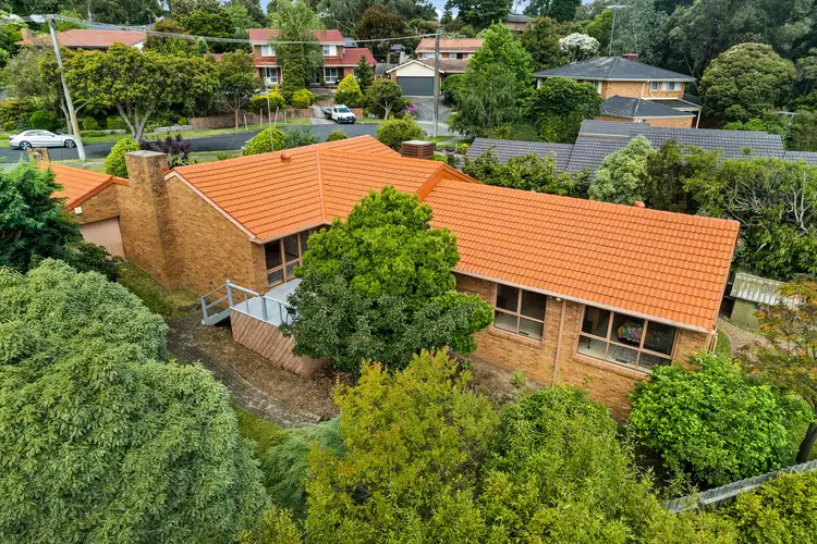 Main view of Homely house listing, 12 Forest Court, Ringwood VIC 3134