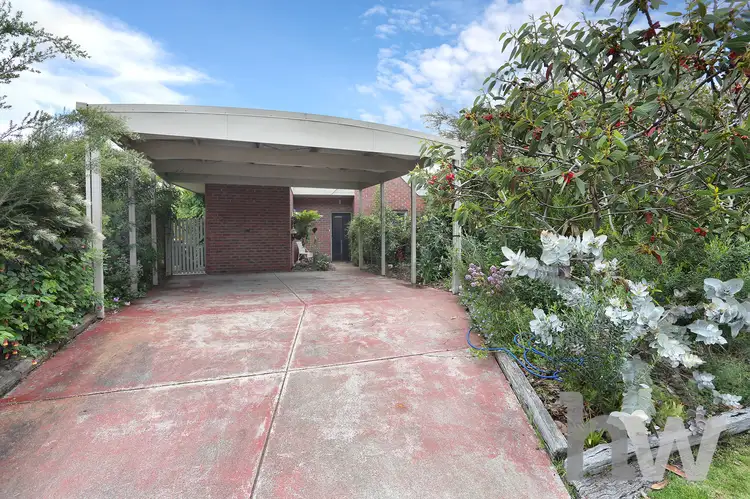 Main view of Homely house listing, 8 Waurn Park Court, Belmont VIC 3216