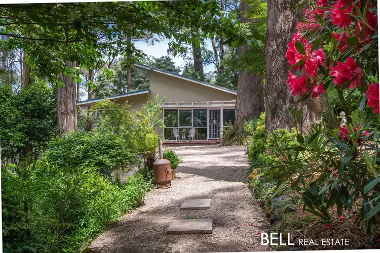 Main view of Homely house listing, 19 Ornata Road, Mount Dandenong VIC 3767
