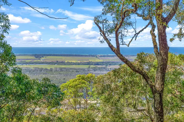 Second view of Homely rural property listing, 737c Bagotville Road, Meerschaum Vale NSW 2477