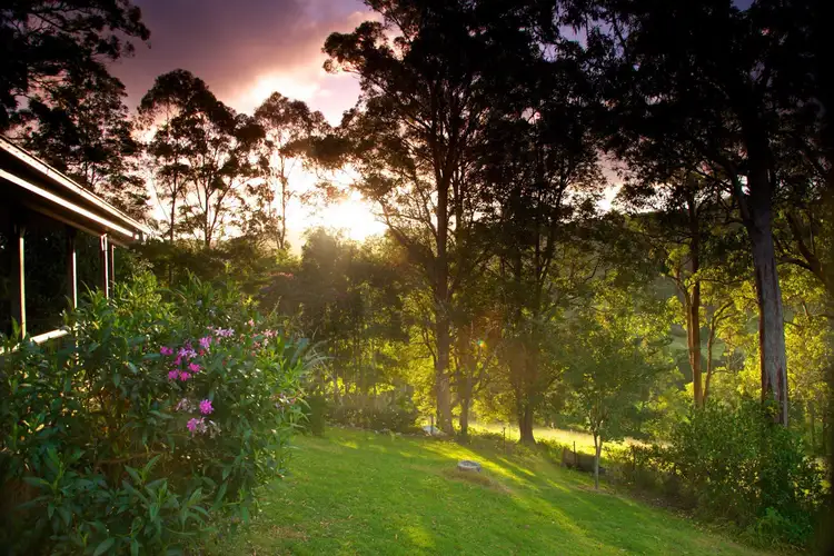 Seventh view of Homely rural property listing, 155 North Branch Road, Upsalls Creek NSW 2439