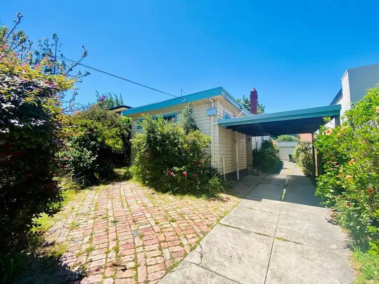 42 Begonia Road