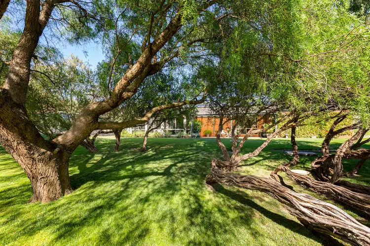 Fifth view of Homely house listing, 18 Alexandra Crescent, Rye VIC 3941
