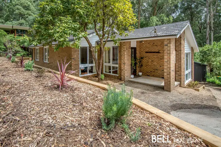 Main view of Homely house listing, 11 Alice Street, Sassafras VIC 3787
