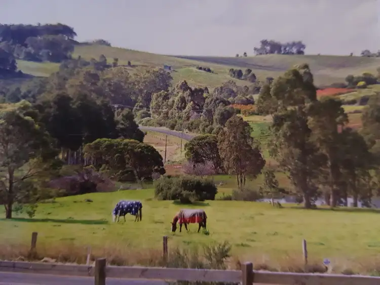 Lot 42 Eastern Rise, Henty WA 6236