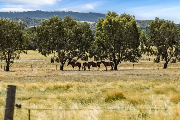 Seventh view of Homely land listing, LOT Lot 1, 9 Simpson Street, Raglan VIC 3373