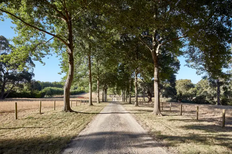 Sixth view of Homely house listing, 38 Glen Drouitt Road, Mount Macedon VIC 3441