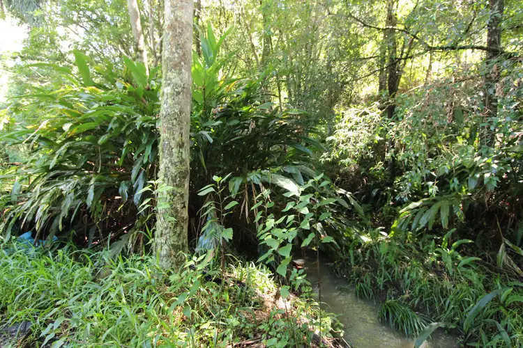 Fourth view of Homely rural property listing, 20 Yaralin Close, Johns River NSW 2443