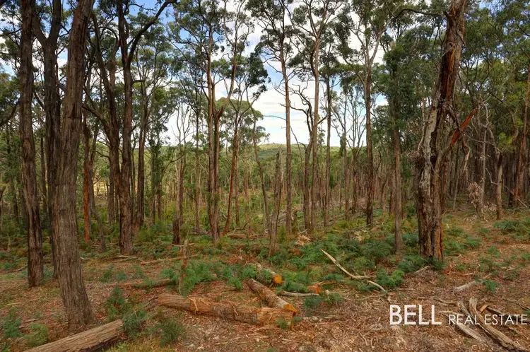 Main view of Homely land listing, 82 Merretts Road, Avonsleigh VIC 3782