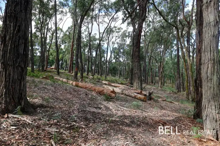Seventh view of Homely land listing, 82 Merretts Road, Avonsleigh VIC 3782