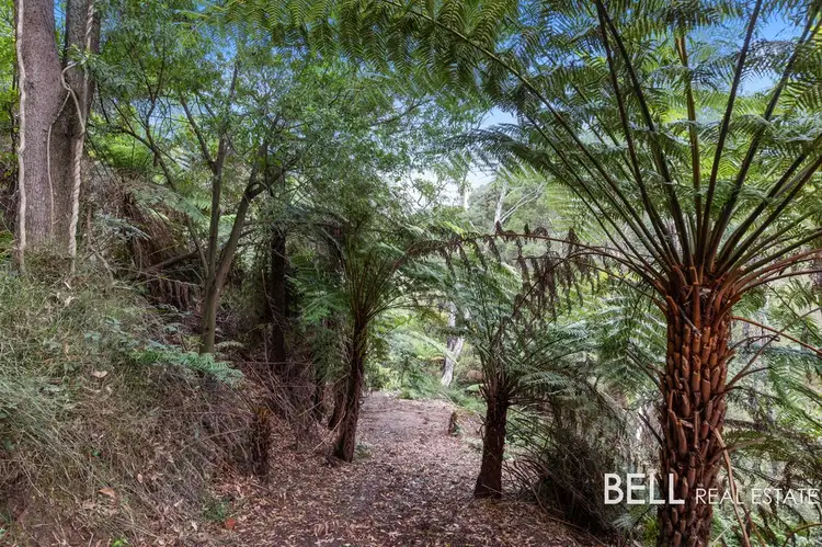 13 Outlook Road, Emerald VIC 3782