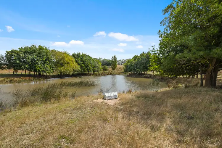 Fifth view of Homely rural property listing, 775 Tantaraboo Road, Lancefield VIC 3435