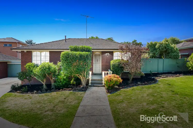 Main view of Homely unit listing, 8/41 Prospect Street, Mount Waverley VIC 3149