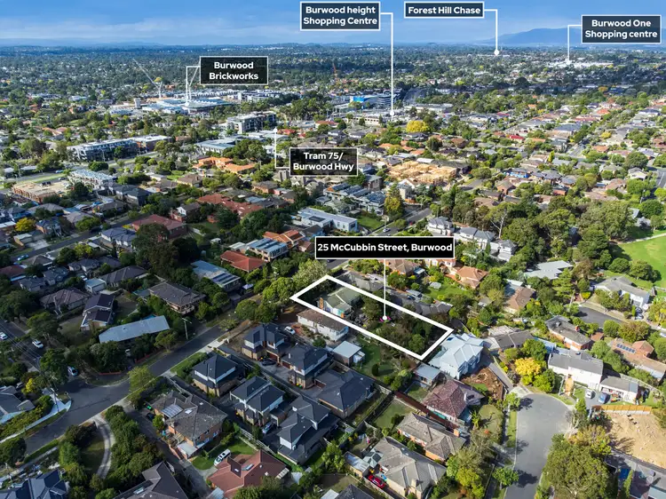 Third view of Homely house listing, 25 Mccubbin Street, Burwood VIC 3125