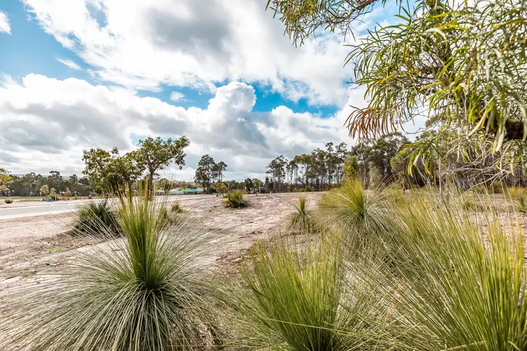 Fourth view of Homely land listing, 45 Hardenbergia View, Donnybrook WA 6239