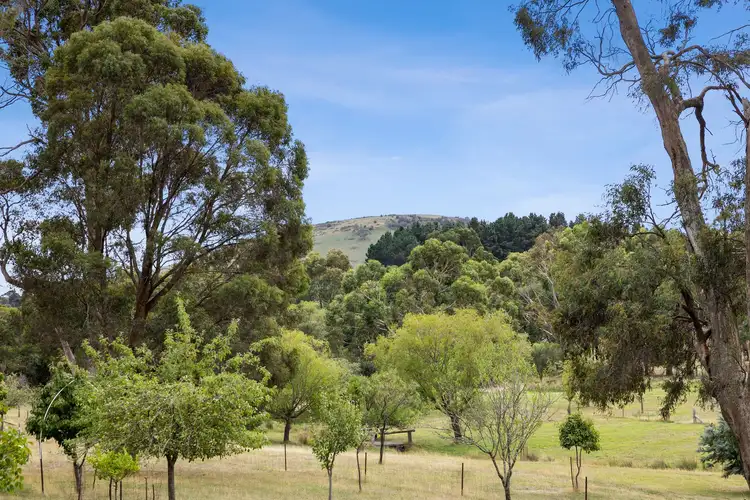 Fourth view of Homely house listing, 3544 Midland Highway, Blampied VIC 3364