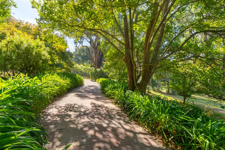 Main view of Homely house listing, 43 Beauford Road, Red Hill South VIC 3937