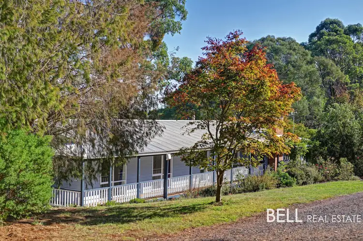 Main view of Homely house listing, 590 Lusatia Park Road, Hoddles Creek VIC 3139