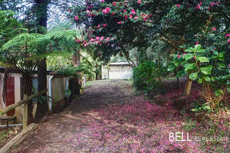 Third view of Homely house listing, 17 Seaview Road, Cockatoo VIC 3781