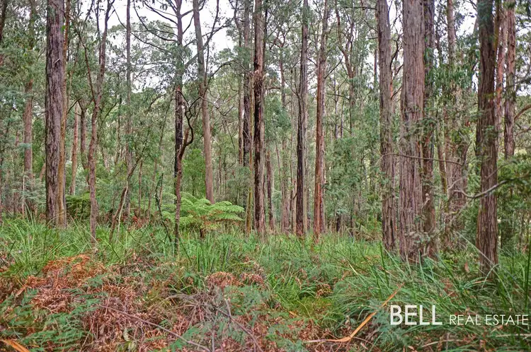 Fifth view of Homely house listing, 71 Fairy Dell Road, Monbulk VIC 3793