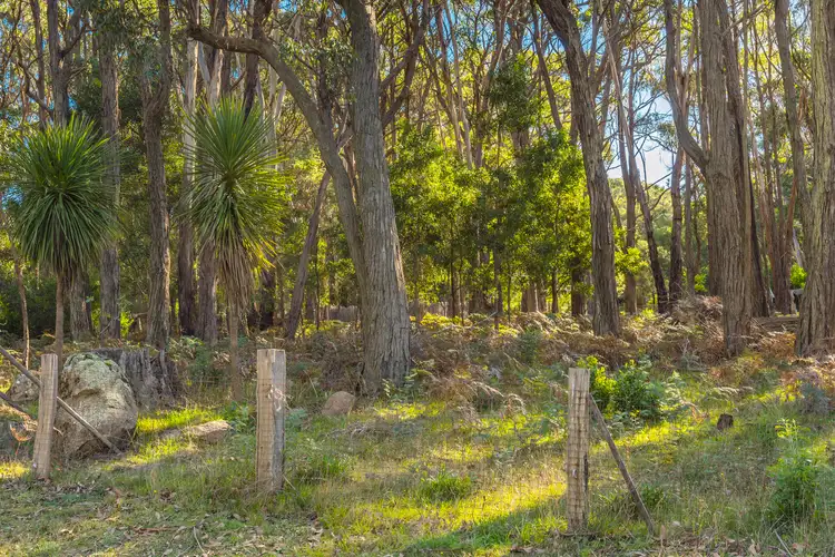 Sixth view of Homely rural property listing, Lot/7 Feeneys Lane, Benloch VIC 3435