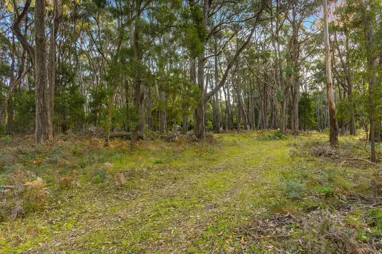 Seventh view of Homely rural property listing, Lot/7 Feeneys Lane, Benloch VIC 3435