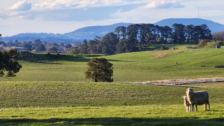 Seventh view of Homely land listing, 242 Youngs Road, Kyneton VIC 3444