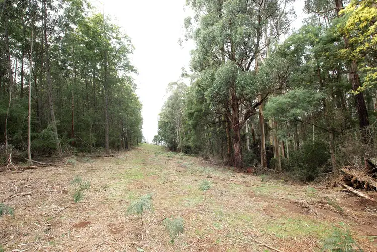 Seventh view of Homely land listing, 825 Gembrook - Launching Place Road, Hoddles Creek VIC 3139