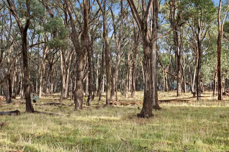 Fourth view of Homely land listing, CA15 Honeysuckle Road, Lauriston VIC 3444