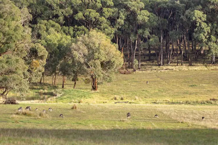 Fifth view of Homely land listing, CA15 Honeysuckle Road, Lauriston VIC 3444