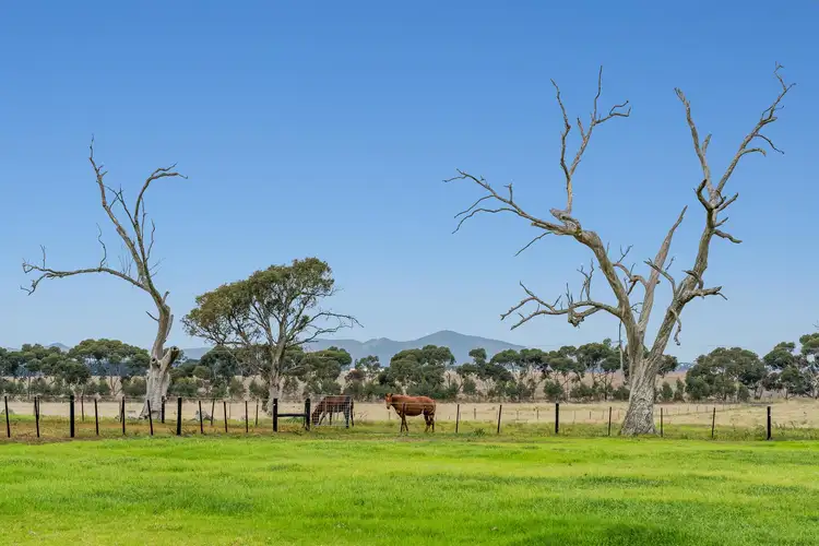 Second view of Homely rural property listing, 1385-1425 Ballan Road, Anakie VIC 3213