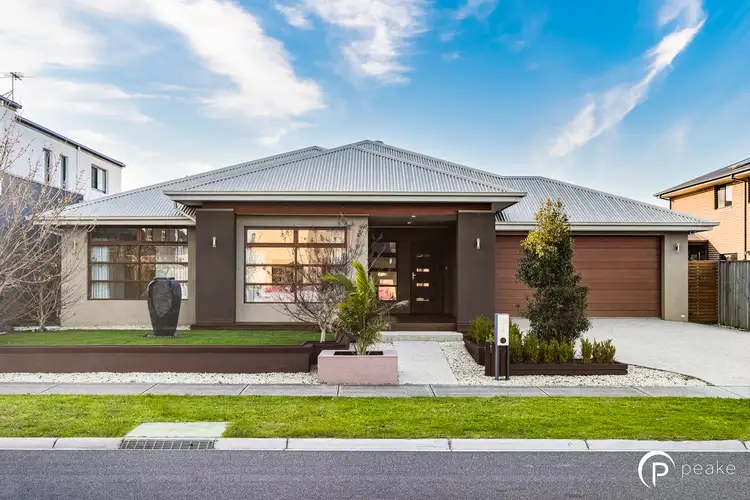 19 Brangus Avenue, Narre Warren South VIC 3805