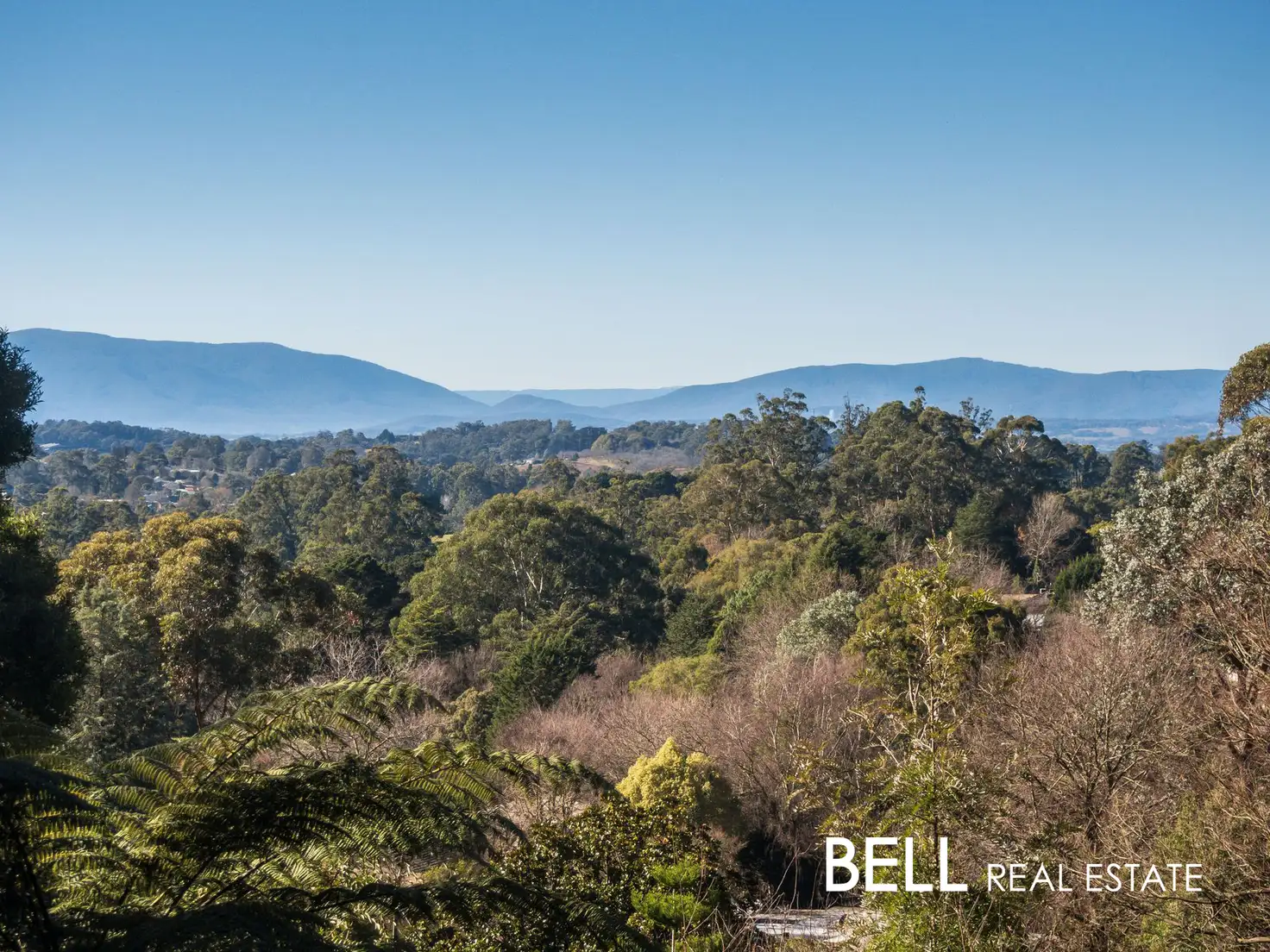 Main view of Homely house listing, 42 Oconnors Road, The Patch VIC 3792