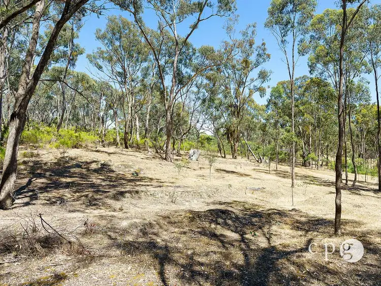 Seventh view of Homely land listing, 46 Prestidge Lane, Fryerstown VIC 3451