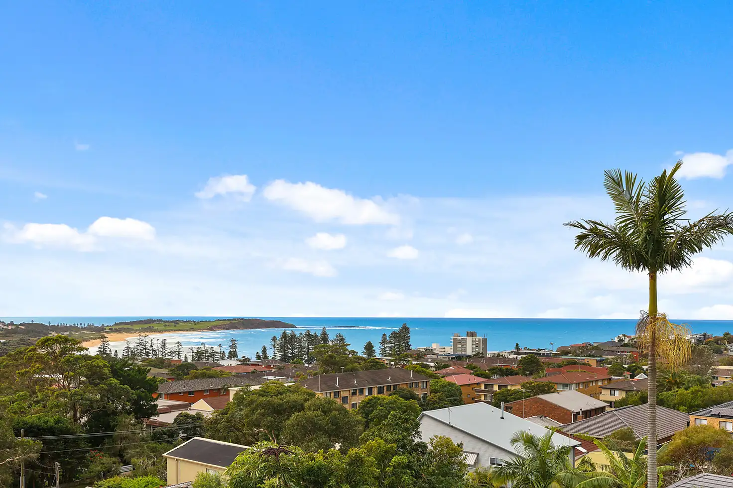 Main view of Homely house listing, 49 Bushey Place, Dee Why NSW 2099