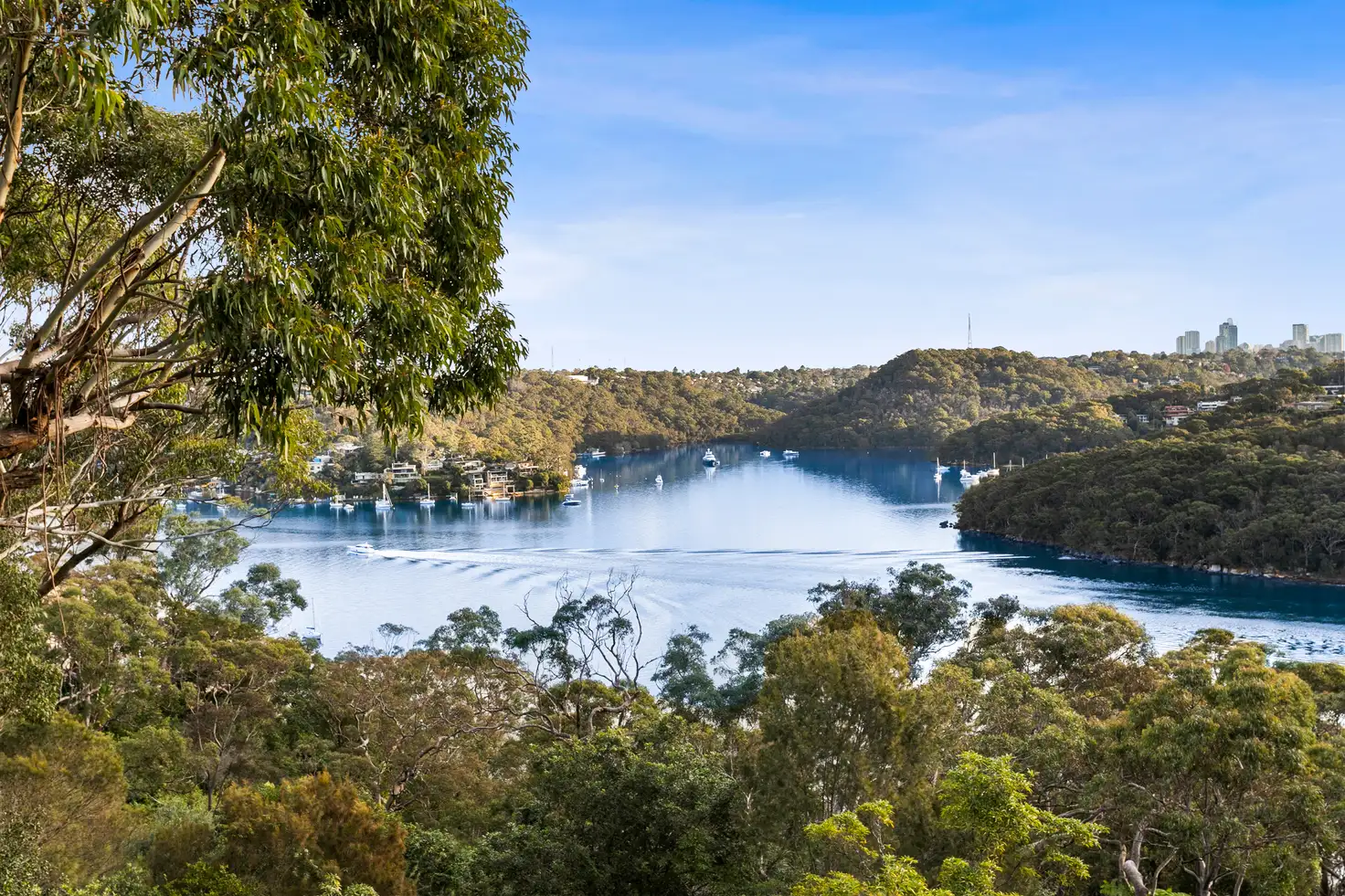 Main view of Homely house listing, 6 Sandra Place, Seaforth NSW 2092