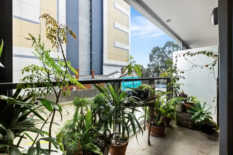 Fifth view of Homely apartment listing, 113/32 Lilydale Grove, Hawthorn East VIC 3123